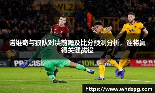 诺维奇与狼队对决前瞻及比分预测分析，谁将赢得关键战役
